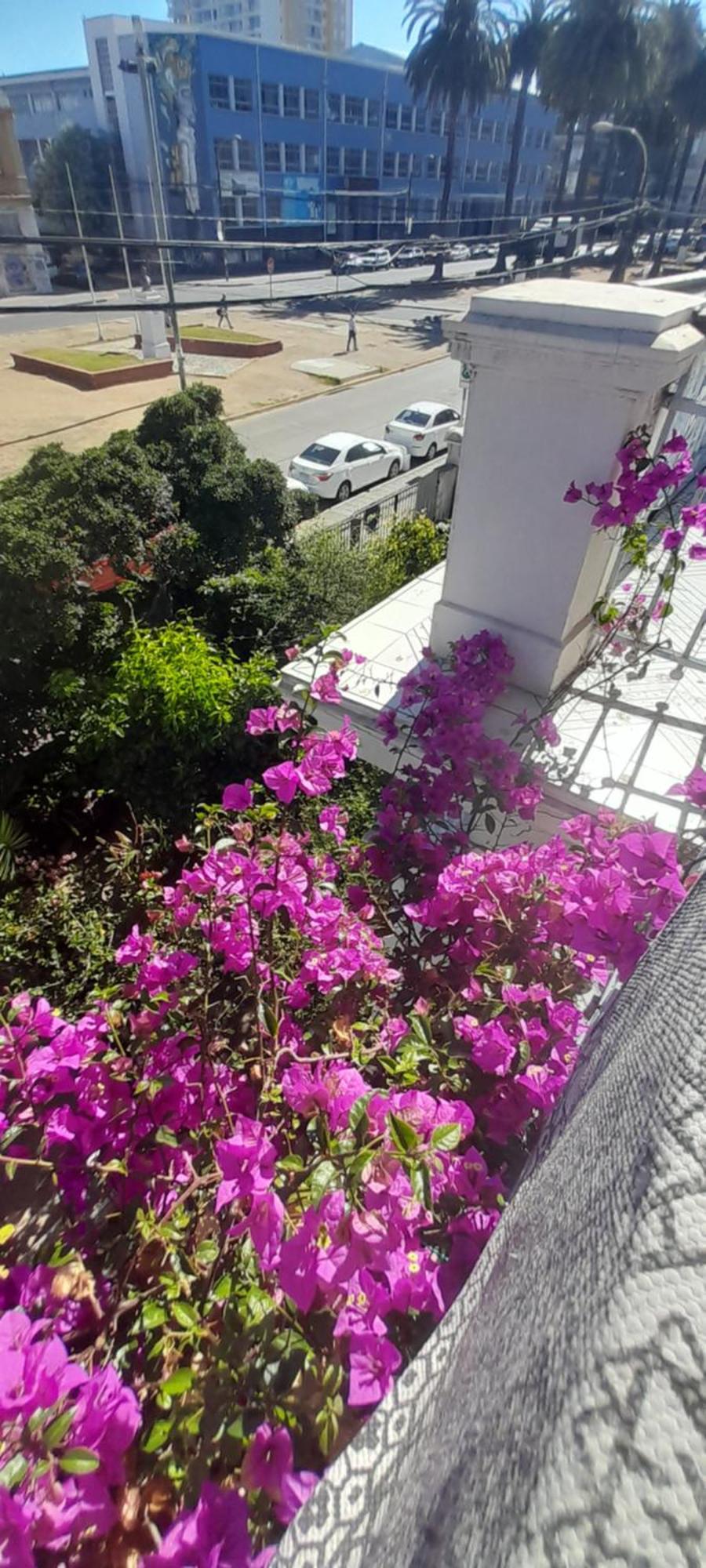 Blanca Rosa Valparaiso B&B Bagian luar foto